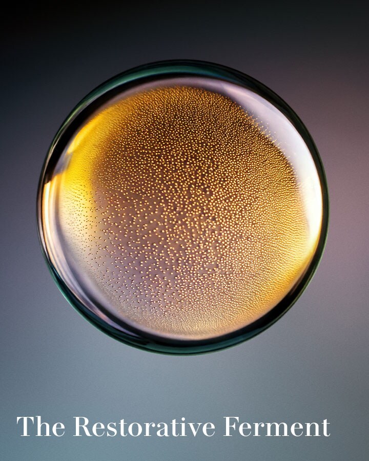 Delamer リップケア 楽天市場】【ポイント10倍】10/19 0:00〜10/20 23:59【送料無料